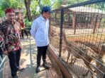 menteri-lingkungan-hidup-hanif-faisol-nurofiq-1746629771353_169.jpeg