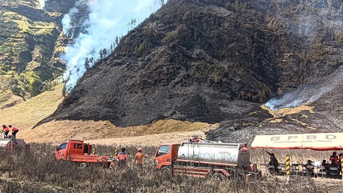 kebakaran-bromo-meluas-jadi-176-hektare-1786108419489_169.jpeg