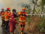 karhutla-bromo-merembet-ke-jalan-raya-malang-lumajang-1789302057088_169.jpeg