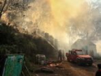 kebakaran-di-jalur-pendakian-gunung-ijen-1788495045421_169.jpeg
